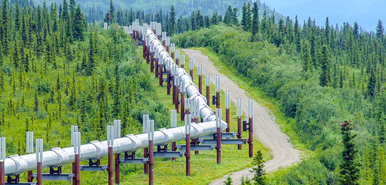 Pipeline through forest